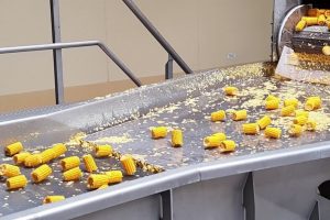 Equipment and solutions for vegetable processing.